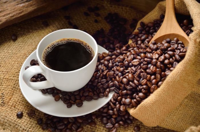 Quelle est la quantité de caféine contenue dans une tasse de café et quelle est la quantité à boire ?