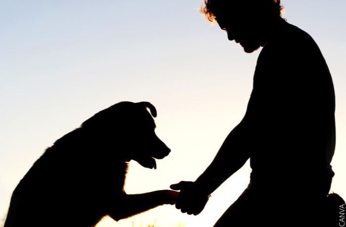 عبارات عزاداری برای سگ و خداحافظی با بهترین دوست خود