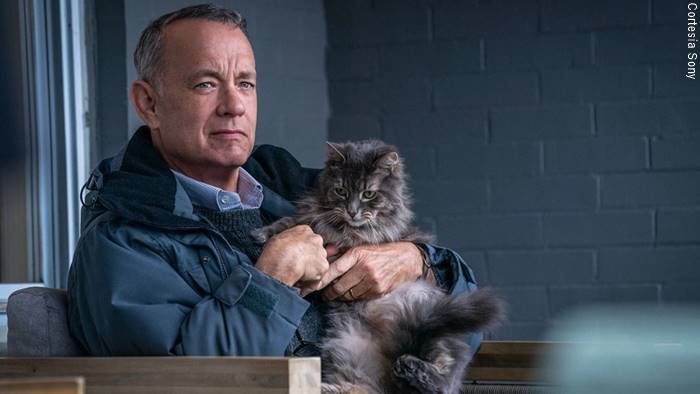 Tom Hanks filmlərini nostalji ilə xatırlayırıq