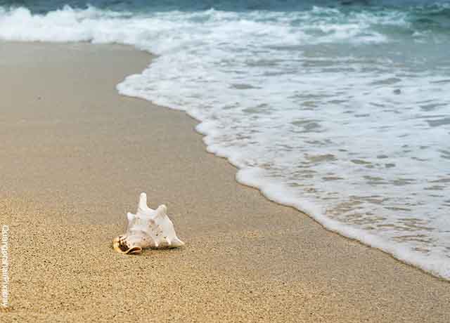 Sognare la sabbia potrebbe rappresentare una ricompensa per le vostre buone azioni