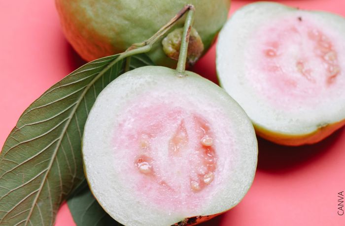 A visa guave este sinonim cu creșterea personală.