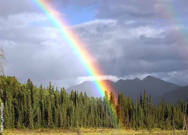 Ëndërrimi i ylberit do të ndezë dritën e shpresës në jetën tuaj