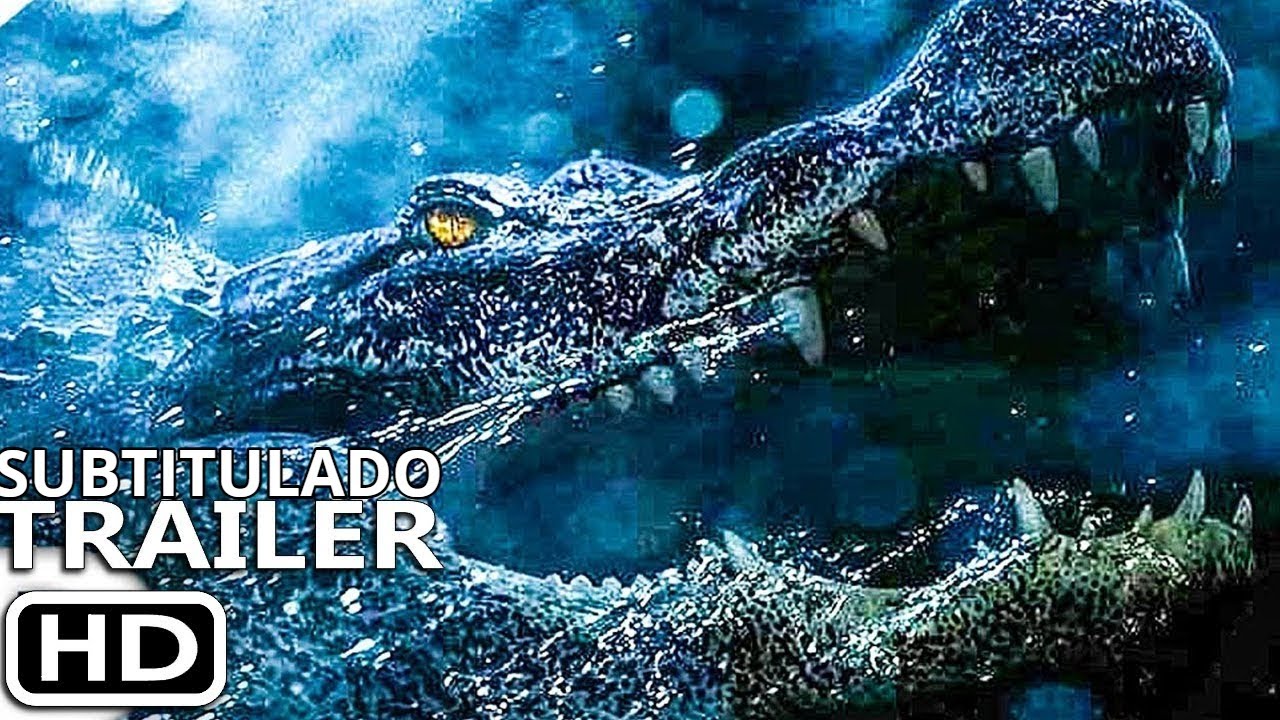 Krokodýlí filmy, ideální pro všechny chutě!