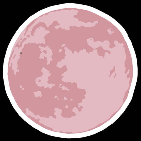 Розовое суперлуние, что это такое и когда его можно увидеть?